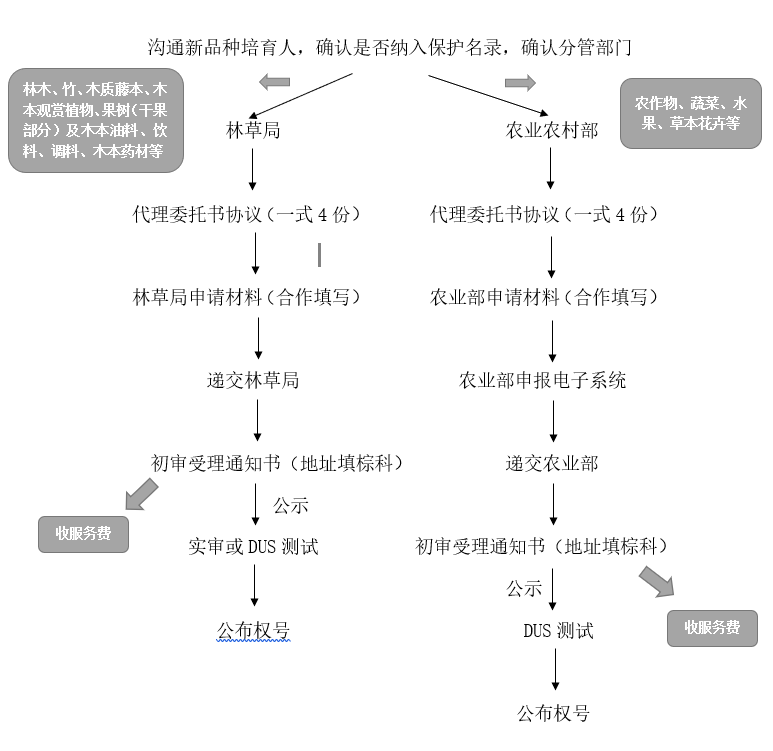 微信截图_20190708101024