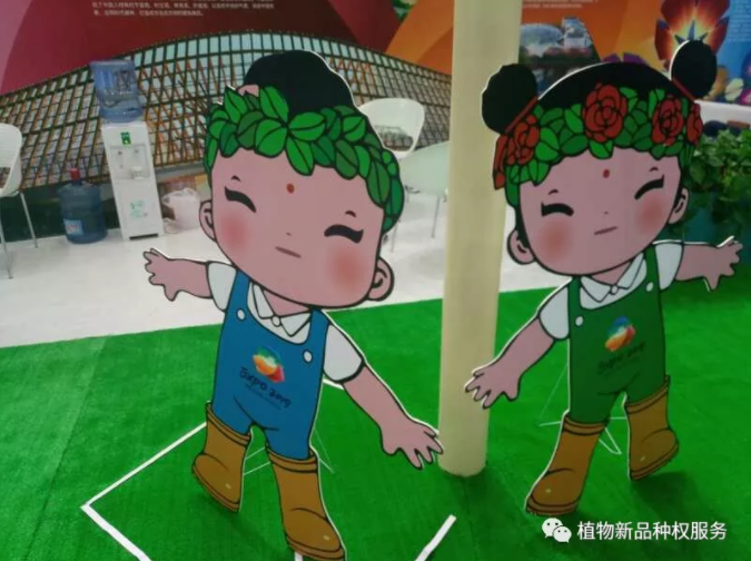 微信截图_20191227102022