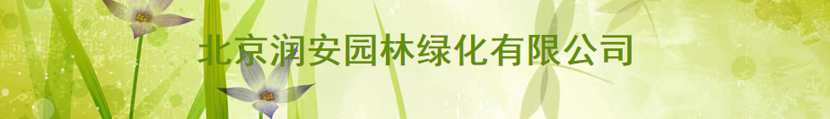 微信截图_20191224093248