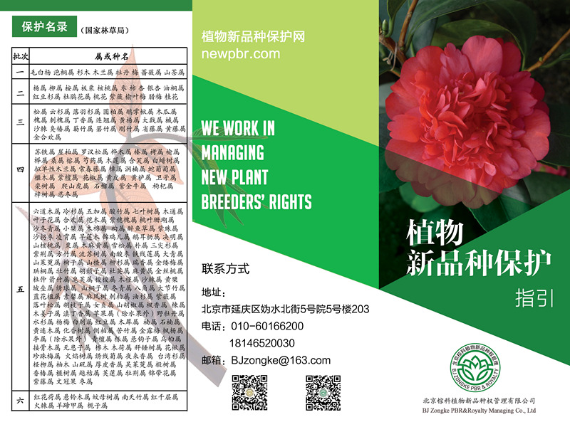 正面改4