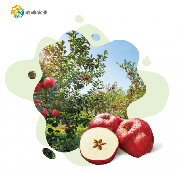 微信截图_20210422114450