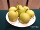 下载