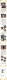 第九届中国国际家庭花卉园艺展新品种评奖结果出炉,15个新品种获得金奖