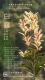 节气海报大暑