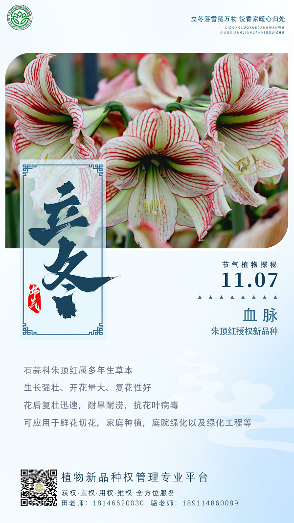 微信图片_20241107100059