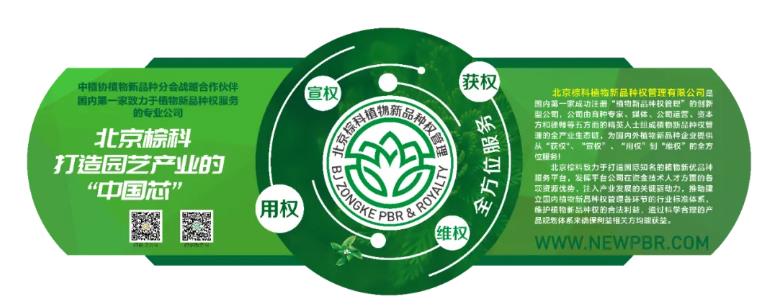 360截图20240816110611133