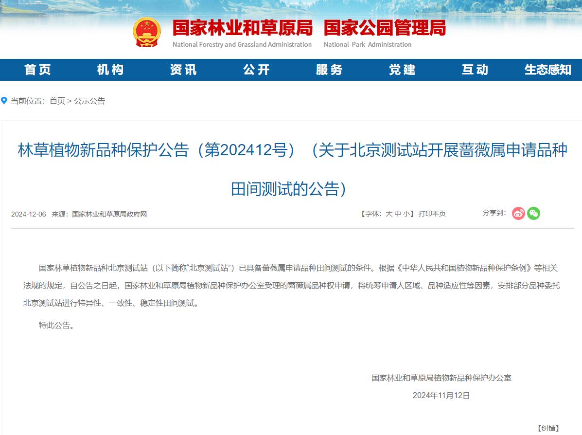 360截图20241211104407945