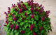 f_951bf5cd16e94752250e668bc257ffbc.png
