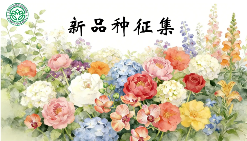 f_8cf077a709b61bf2ca4a722cd412ae11.png