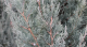 f_9b789f787c77f7c2f23b26644aa64852.png