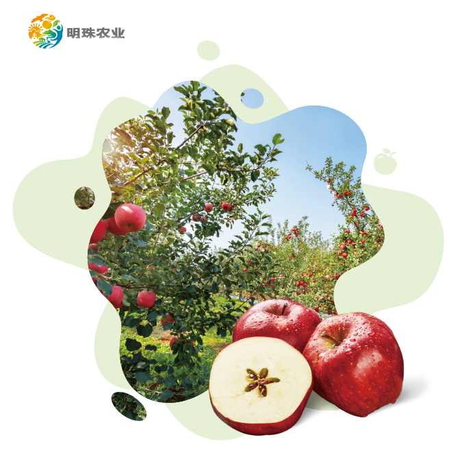 微信截图_20210422114450